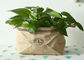 Eco Friendly Non Woven Fabric Grow Bags 1 Gallon Tree Planting Bags